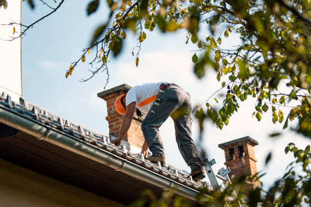 Best Roof Leak Repair  in Hasson Heights, PA