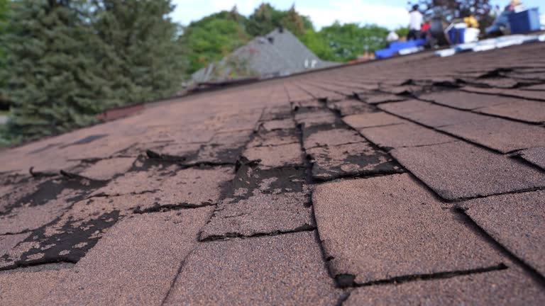 Best Solar Panel Roofing Installation  in Hasson Heights, PA