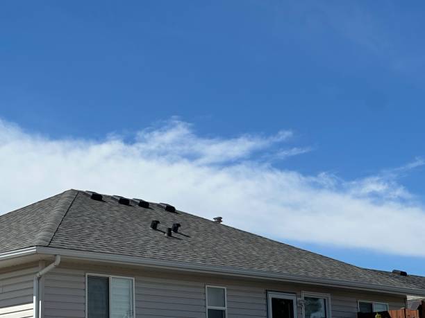 Best Steel Roofing  in Hasson Heights, PA